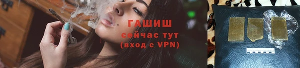 PSILOCYBIN Алзамай