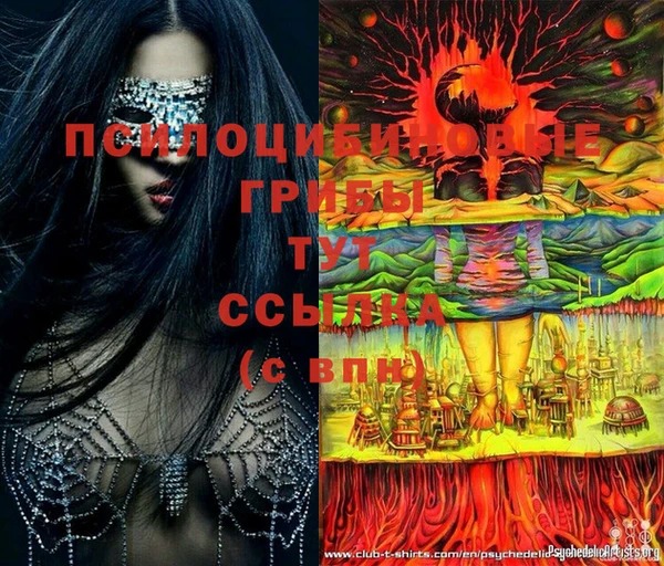 PSILOCYBIN Алзамай