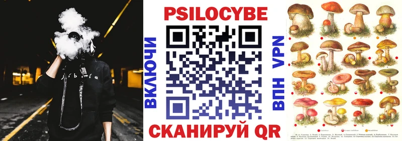Галлюциногенные грибы Psilocybe  мега зеркало  Дюртюли 